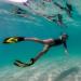SIER Soft Silicone Full-Foot Swim Fins | Efficient Thrust | Tight Fitting | Yellow | EUR 39-40 US Men 6-7 Women 7-8 - Buy Online on SooperMarket.com