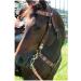 Circle Y Distressed Beaded Leather Browband Headstall - Walnut | Horse Bridle - Buy Online on SooperMarket.com