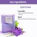Nykaa Naturals Bathing Soap - Anti-Aging Lavender & Oil-Control Basil Bar Soap - Perfect Skin Cleanser - 3.5 oz - International Shipping Available - Buy Online on SooperMarket.com