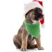 Christmas Gingerbread Man Dog Bandana - Lionet Paws Triangle Scarf for Small Medium & Large Dogs - Buy Online on SooperMarket.com