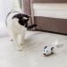 Kittio Robo Mouse: Interactive Cat Toy with Smart Steering Sensors - USB Charging - Buy Online on SooperMarket.com