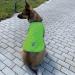 Reflective Dog Warning Vest - Safety Jacket with Lining Fabric | Robust Sizes in Neon Green for Enhanced Visibility - Buy Online on SooperMarket.com