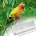 Bird Cage Feeder 3 Pcs Plastic Bird Cage Feeding Bowls Cups Hanging Parrot Water Food Feeder with Compartment and Bird Perch for Small Birds Pigeons Parakeet Canary Sparrow - Buy Online on SooperMarket.com