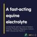 Aviform ELECTROFORM EQ | Equine Electrolytes | 1kg Compostable Pouch | Fast Delivery - Buy Online on SooperMarket.com