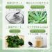 Ao Jiru Green Juice JAPAN Ginza circle cans God Heart diet Ao-jiru - Buy Online on SooperMarket.com