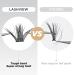 LASHVIEW DIY Lash Extension Cluster Lashes 0.10mm 56D 9-14mm Mixed Reusable - Soft, Lightweight Wide Band Lash Cluster Kit - Buy Online on SooperMarket.com
