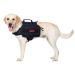 OneTigris Mammoth Dog Backpack 2.0 Version Tear Camping Hiking Dog Backpack for M/L Size Dogs (M Black) M Black