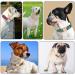 YUDOTE Ultra-Soft Dog Collar for Small Dogs | Natural Cotton Cord Sensitive Skin Pink S (1 Pack) - Ideal for International Shipping - Buy Online on SooperMarket.com