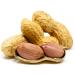 Sky | Premium USA Grown, Raw Peanuts in Shell For Squirrels, Unsalted Peanuts In The Shell, Boiled Peanuts, Jumbo Raw Peanuts in the Shell, Squirrel Peanuts in Shell Unsalted, Unsalted Peanuts for Birds and Squirrels, Gree…
