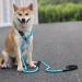 yeesport Dog Leash Nylon 5.9ft - Heavy Duty Nonslip Outside Outdoor Running Jogging Padded Handle Puppy Training Leash Blue M - Buy Online on SooperMarket.com