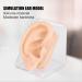 Skin-Friendly Silicone Ear Acupuncture Model for Otolaryngology Centers, Pharmacies, and Hospitals - Buy Online on SooperMarket.com