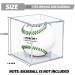 VOLEAAR 6 Pack Baseball Display Case - UV Protected Acrylic Cube Holder for Autograph Memorabilia - Official Size Baseball Display Box - Buy Online on SooperMarket.com