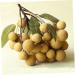 Ciieeo Doll House Diy Toy Fake Longyan Model Kitchen Fruit Longan Model Fruit Photography Props Fake Longan Decor Simulation Fruit Simulation Fake Fruit Faux Fruit Plastic Peach Miniature Khaki 18x18cm - Buy Online on SooperMarket.com