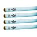 Wolff System Diamond Sun F71 100W Bi Pin Tanning Bulbs (24)