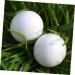 BCOATH 60 Pcs Water Injection Fake Pigeon Eggs White Fake Eggs Parrot Eggs Compact Eggs Breeding Props Craft Eggs for Painting Artificial Eggs Toy Eggs Supplies Meat Pigeon Plastic Whitex2pcs 2.9X4.1CMx2pcs - Buy Online on SooperMarket.com