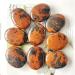 Natural Stone and CrystalReiki Wicca Wichcraft Red Mahogany Palm Minerals for Home Decoration HOMEZHOU 2pcs - Buy Online on SooperMarket.com