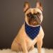 SLSON 14 Pack Dog Bandanas Plaid Dog Scarf Washable Triangle Pet Bibs Kerchief for Puppy Small Dog and Medium Dog Cat Pets - Buy Online on SooperMarket.com