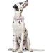 Lionet Paw's Silk Pink Dog Collar with Removable Fly for Puppies & Cats - Comfortable XS (20-30cm) | International Shipping Available - Buy Online on SooperMarket.com