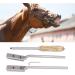 4Pcs Veterinary Horse Dental Float Rasp High Flexibility Fine Polishing Smoother Surfaces Equine Dental Kit for Animal Farm - Buy Online on SooperMarket.com
