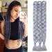 Tess 41 "Braids Extensions Kunsthaar crochet jumbo braids synthetic braiding hair 3PCs 165g/bundle 100cm hair extensions gray 104 cm (3 pieces) gray
