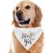 Dog Wedding Bandana Set for Engagement Photos - Pet Scarf Accessories for Dog Lovers - Bridal Shower Gift - Buy Online on SooperMarket.com