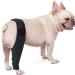Pet Dog Injury Knee Brace Leg Inflammation Pain Alleviate Leg Support Sheaths for Dogs Outdoor Walking Accessories - Buy Online on SooperMarket.com