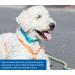 Premium Dog Choke Chain Collar M-L: 35-50 cm/20 mm Black - Buy Online on SooperMarket.com