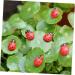 ABOOFAN 900 Pcs Car Decor Car Ornament Car Trim Decor for Car Model Car Decor Toy Decorate Potted Plant Succulent Plants Ladybug - Buy Online on SooperMarket.com