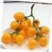 Ciieeo Simulated Small Tomatoes Models Fruit Photo Prop Faux Cherry Tomatoes Ornament Lifelike Fruit Fake Cherry Tomatoes for Decor Home Fruit Ornament Artificial Foam Fake Fruit Yellow 4.00X2.00X2.00CM - Buy Online on SooperMarket.com