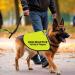 Reactive Dog Jacket Vest Dog Reactive Dog Training/Reactive Not Aggressive Service Dog Slogan Warning Vest (REACTIVE Training L EU) - Buy Online on SooperMarket.com