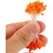DECORA 20 Bundles 1700 Pieces 3mm Pearl Flower Stamen - Assorted Colors for Card Making Decoration - Buy Online on SooperMarket.com