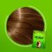 Great Lengths iColor Hair Dye Shampoo Chestnut Brown 30ml (1.014 ounces) x 10 sachets in a box shampoo-in hair color dye in 20-30 minutes DIY convenient easy to use