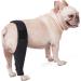 GANAZONO Dog Hindleg Cover Dog Knee Leg Canine Rear Hock Hind Leg Mesh Fabric Comfortable M 1 - Buy Online on SooperMarket.com