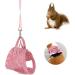 HEEPDD Small Animal Dishes & Leash for Guinea Pigs Squirrels Hedgehogs Chinchillas - Red L | Durable Pet Clothing & Accessories - Buy Online on SooperMarket.com
