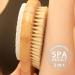ICANdOIT 2 in 1 Long Handle Bath & Shower Brush with Boar Bristle and Pumice Stone - Exfoliate, Soften Skin, Dry Brushing, Cellulite & Lymphatic Drainage - Buy Online on SooperMarket.com
