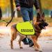 Nervous Anxious Dog Give Me Some Space Dog Jacket Vest Alert Slogan Warning Vest Rescue Dogs Anxious Dogs Gift (give space Anxious Large) give space Anxious L EU - Buy Online on SooperMarket.com