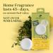 Enviroscent Non-Toxic Air Freshener - Lemon Leaf & Thyme Plug-In | 45+ Days of Home Fragrance | Refillable Essential Oil Set - Buy Online on SooperMarket.com