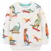 Boys Sweatshirt for Kids Dinosaur Jumper Cotton Casual Top Long Sleeve Pullover T-Shirt Toddler Girls Shirts Baby Clothes 1-8 Years 6-7 Years Dinosaur 06