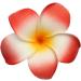 GSHLLO 10 Pcs 7cm Multicolor Hawaiian Foam Flower Hair Clips for Wedding Party - Buy Online on SooperMarket.com