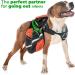 Edipets Retractable Dog Leash - 5m Flexible Band for Pets Up to 50kg | Extendable Inserable & Ideal for Walks - Buy Online on SooperMarket.com