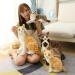 Hpory Cat Soft Toy Simulation Cat Plushie Cute Plush Cat Doll Realistic Cat Soft Plush Faux Plush Kitten Toy Pet Animal Photography Prop Room Home Decoration Companion Pets Toy Gift for Kids Orange Cat - 30cm - Buy Online on SooperMarket.com