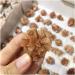 Stone Crafts Natural Beautiful Flowery Orange Aragonite Crystal Cluster Specimen Reiki Crystals - Buy Online on SooperMarket.com