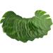 TOPBATHY Personalized Gifts 48pcs Household Decorative Items Personalised Gifts Green Medium - Buy Online on SooperMarket.com