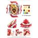 Obest 2 Whirlwind Gyros & Launchers - Burst Turbo Bey Battle Tops - Perfect Kids' Halloween/Christmas Gifts - Buy Online on SooperMarket.com