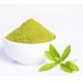 Stevia Powder 500g (BWFO)