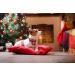 Buy Lionet Paws Christmas Dog Bandana | Headscarf & Towel for All Dog Sizes - Festive Holiday Style - Buy Online on SooperMarket.com