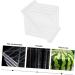 OSALADI Fruit Pumpkin Tools Watermelon Forming Molds Gardening Supplies Vegetable Stereotypes Moss 15x15cm Transparent - Buy Online on SooperMarket.com