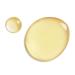 DHC CoQ10 Lotion - Alcohol-Free Hydrating Anti-Aging Moisture for All Skin Types 5.4 fl. oz - Buy Online on SooperMarket.com
