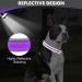 Shop Joytale Purple Neoprene Dog Collar - Softly Padded Reflective for Medium Dogs | Durable & Comfortable (1 Pack) - Buy Online on SooperMarket.com