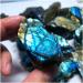 Dazzle Labradorite Original Stone Quartz Crystal Rough Specimen FZUGEDRLI (Size : 600-650g) - Buy Online on SooperMarket.com